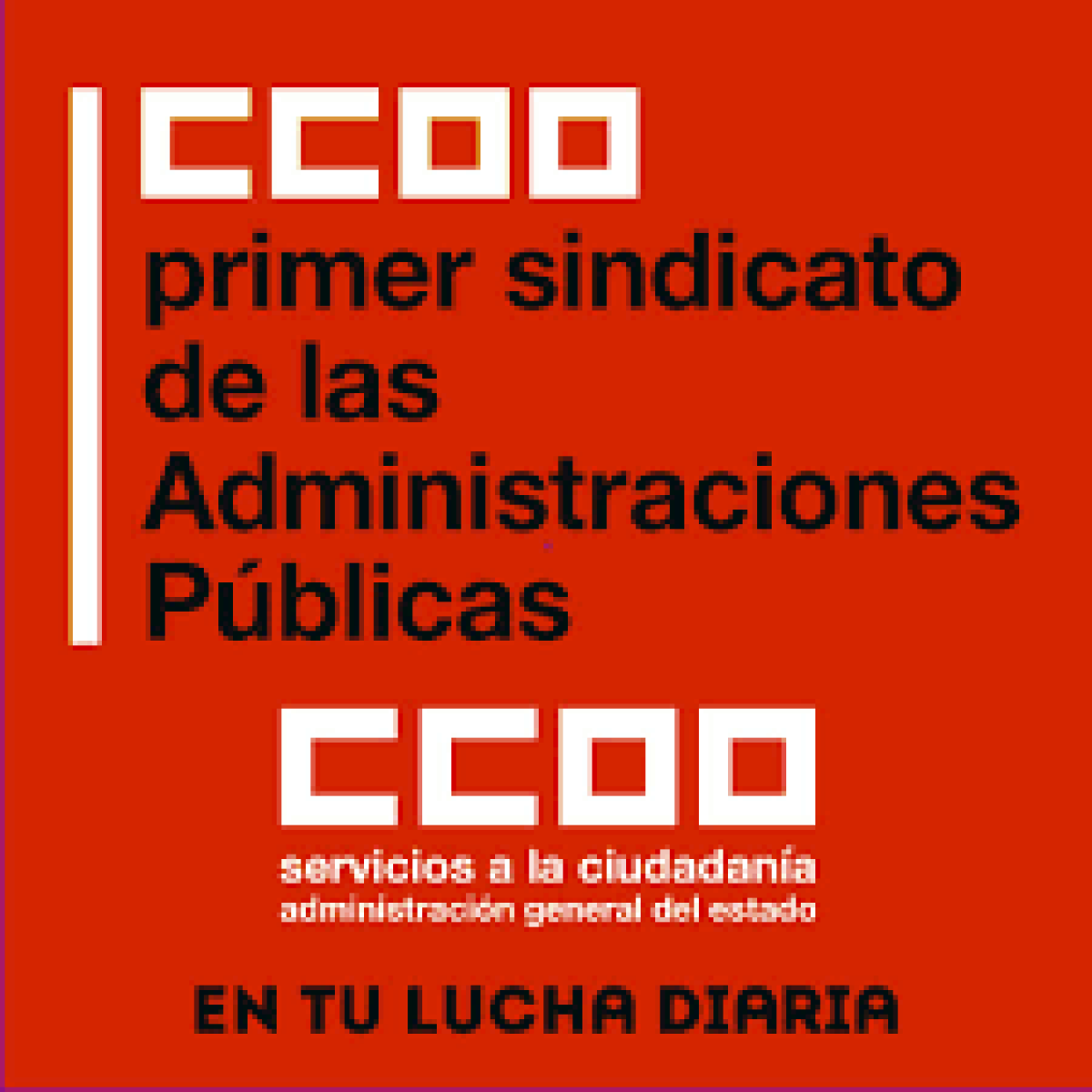 Área pública de CCOO