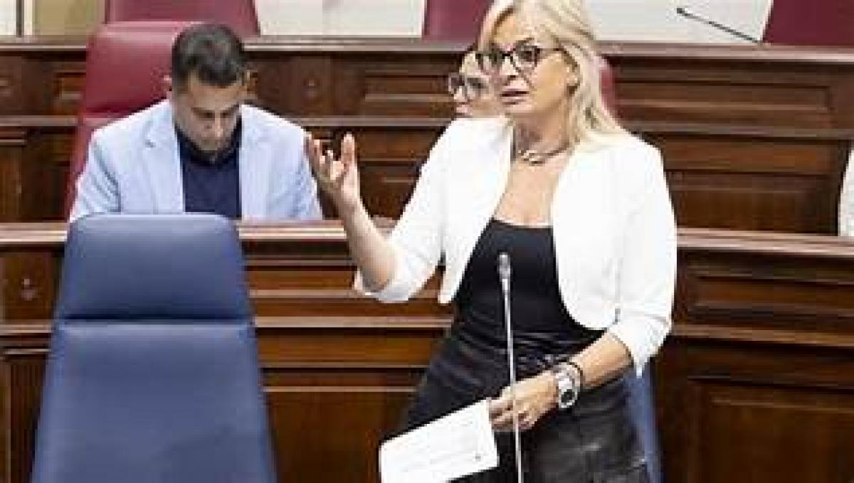 Esther Monzón, consejera de Sanidad del Gobierno de Canarias