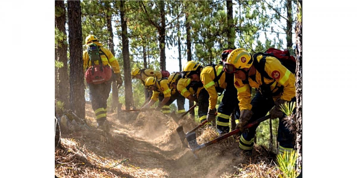 Portada bomberos forestales