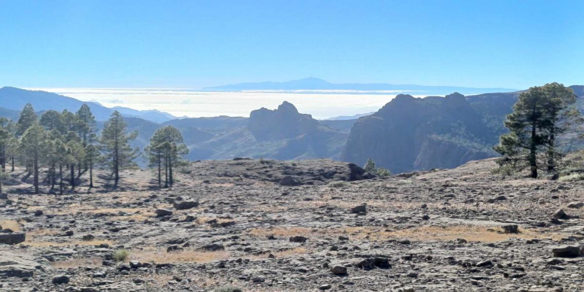 portada paisaje Canarias