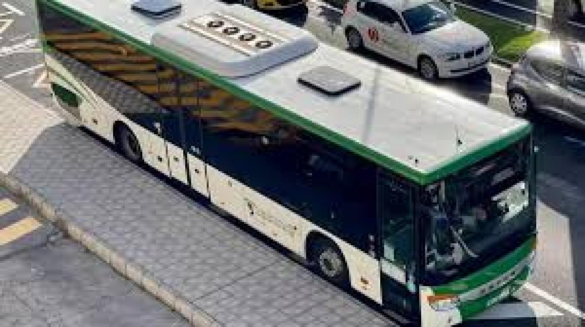 guagua TILP La Palma