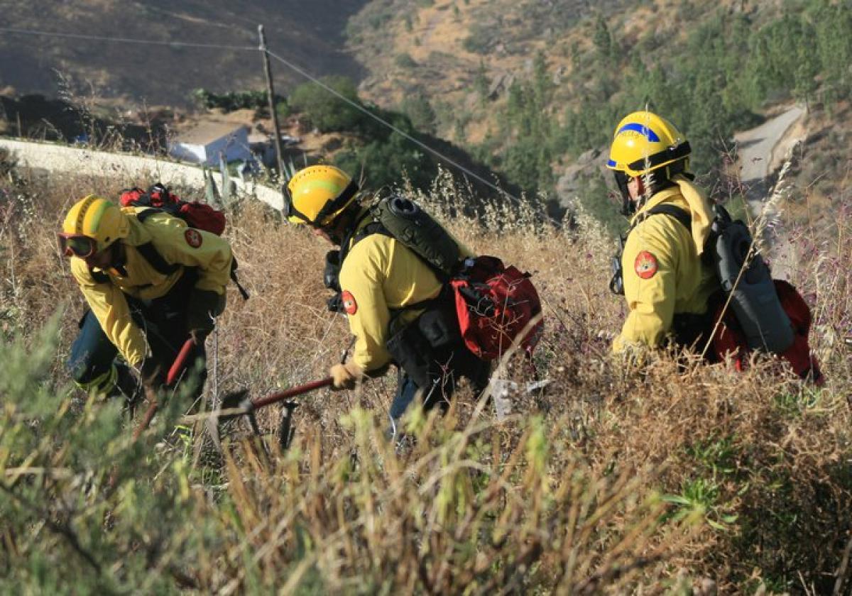 Bomberos/as Forestales